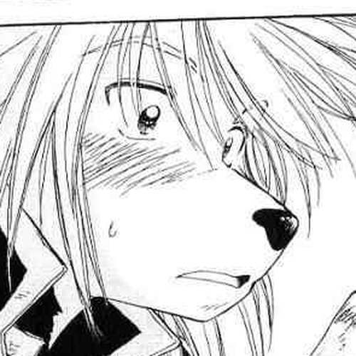 Rurou no Tabi Chapter 11 cover