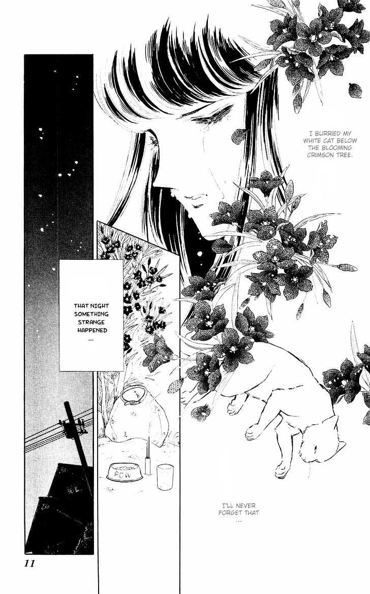 Ryouko no Shinrei Jikenbo Chapter 1 page 13 - Chapter 1 : A Cat Floating in the Darkness