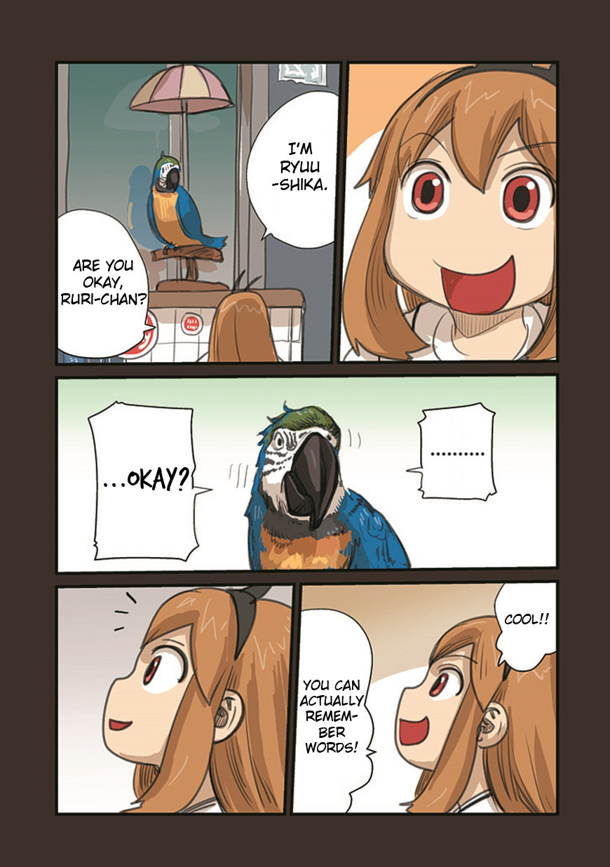 Ryushika Ryushika Chapter 55.1 page 3 - Chapter 55.1: How to Fly Through the Sky (1)