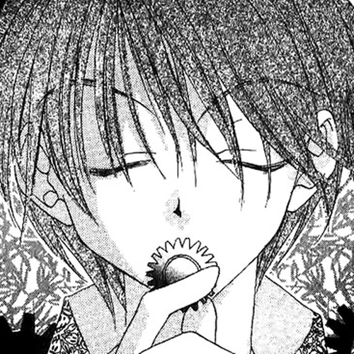 Ryuu no Hanawazurai Chapter 9.5 cover