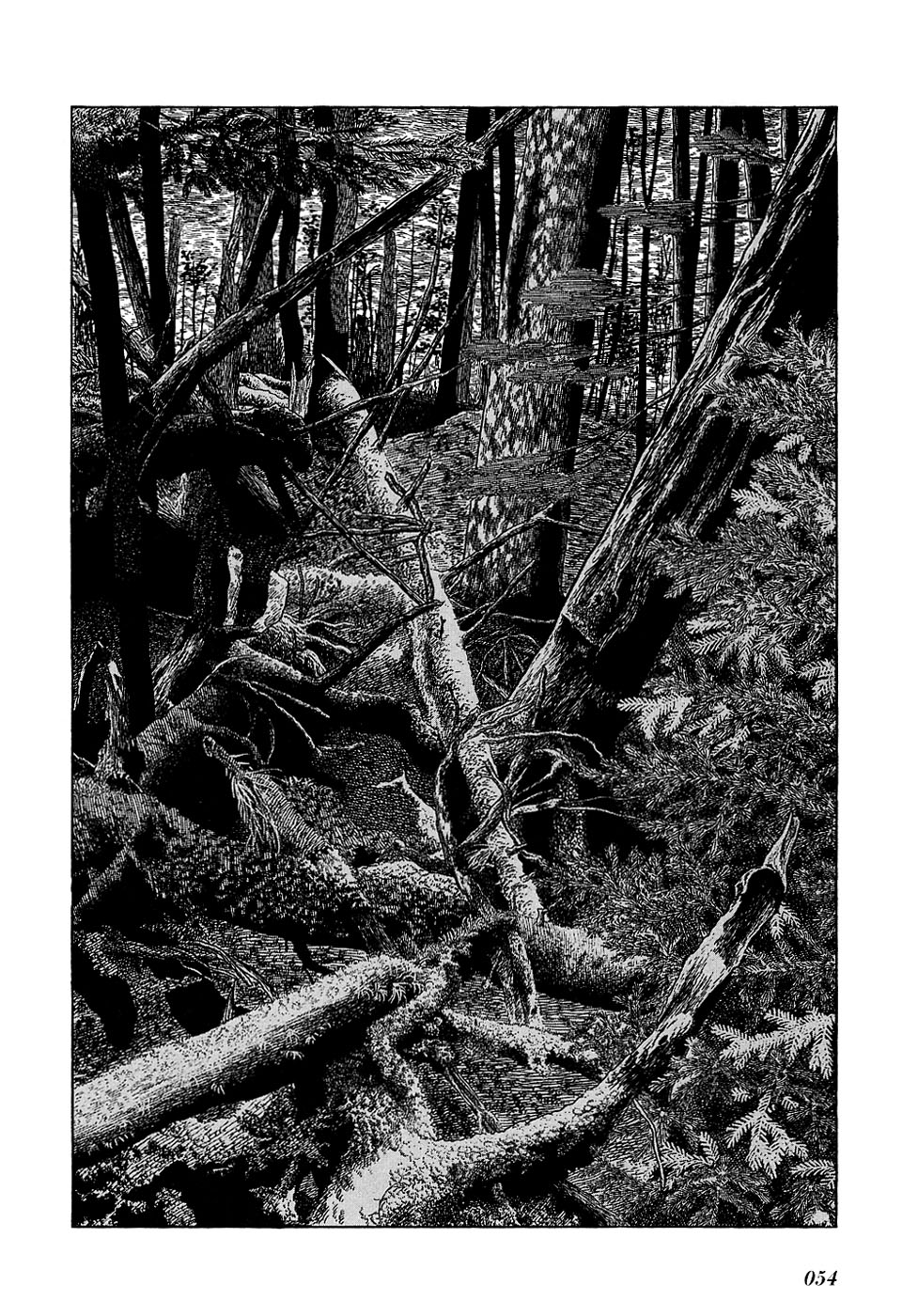 Ryuu no Michi Chapter 19 page 12 - Chapter 19: The Forest of Nursing Trees