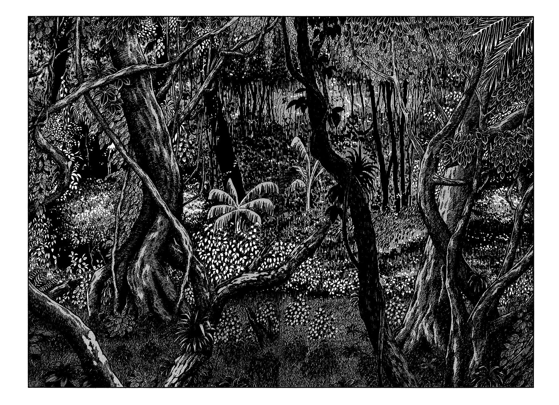 Ryuu no Michi Chapter 7 page 6 - Chapter 7: Into the Jungle
