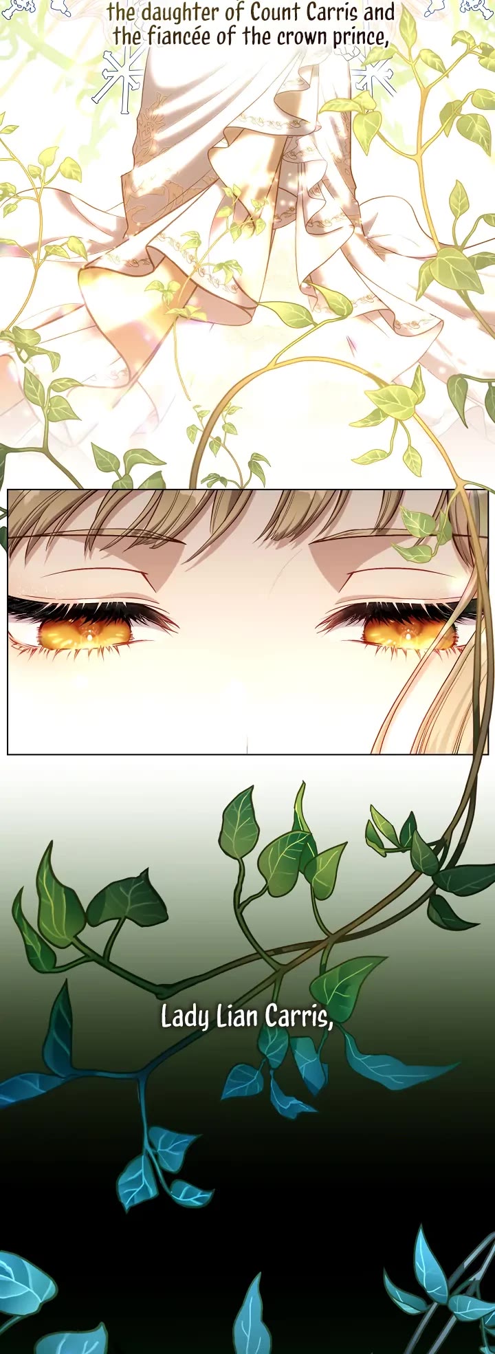 S-Class Hunter Doesn't Want to Be a Villainous Princess Chapter 2 page 4 - Chapter 2