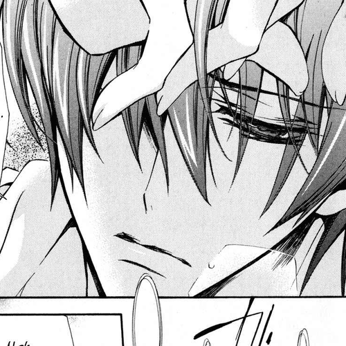 S.L.H Chapter 10 cover