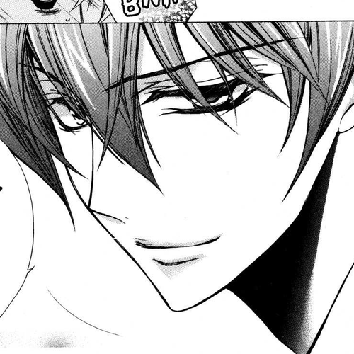 S.L.H Chapter 11 cover