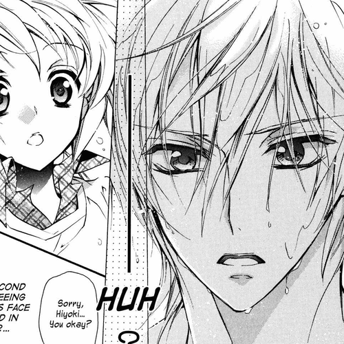 S.L.H Chapter 14 cover