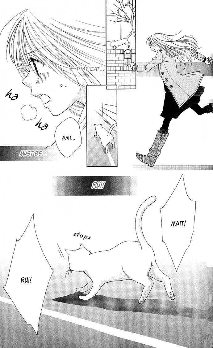 S no Yuiitsu M no Zettai Chapter 3 page 35 - Chapter 3 : My Dear Cat