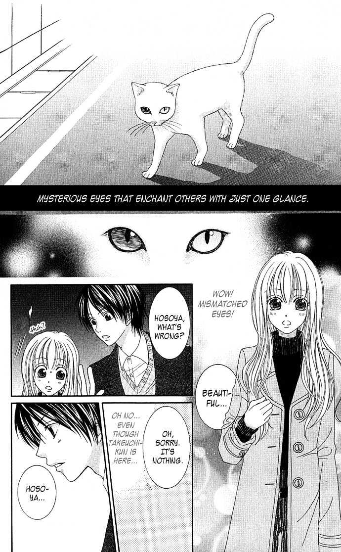 S no Yuiitsu M no Zettai Chapter 3 page 5 - Chapter 3 : My Dear Cat