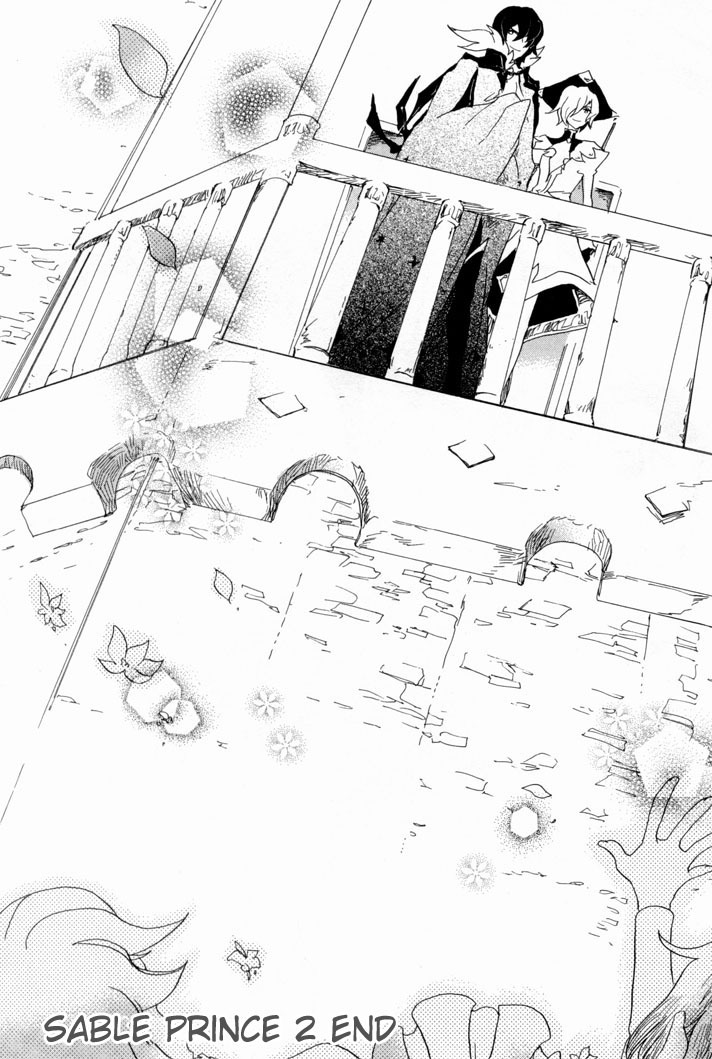 Sable Prince Chapter 10 page 38 - Chapter 10: The Prince, His Follower and a Mirror