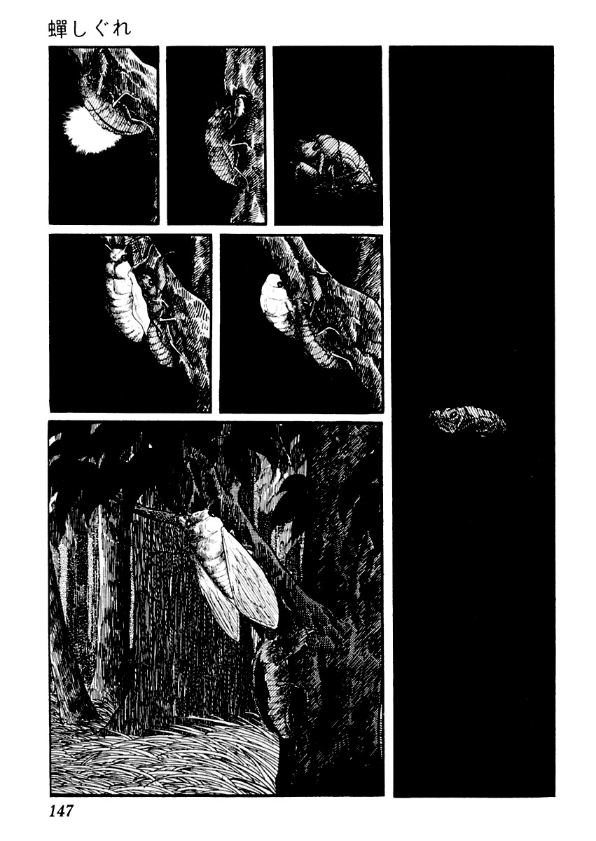 Sabu to Ichi Torimonohikae Chapter 20 page 3 - Chapter 20: Chirping Cicadas