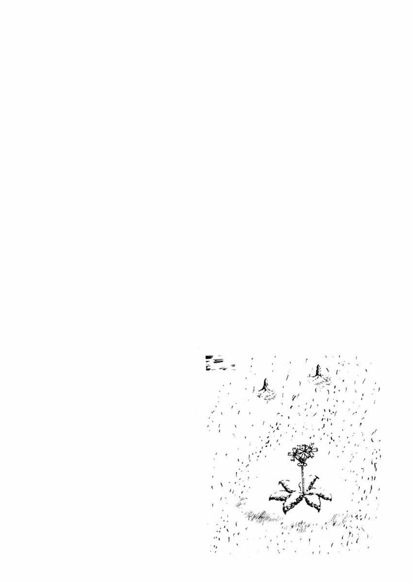 Sabu to Ichi Torimonohikae Chapter 54 page 33 - Chapter 54: The Crimson Cord