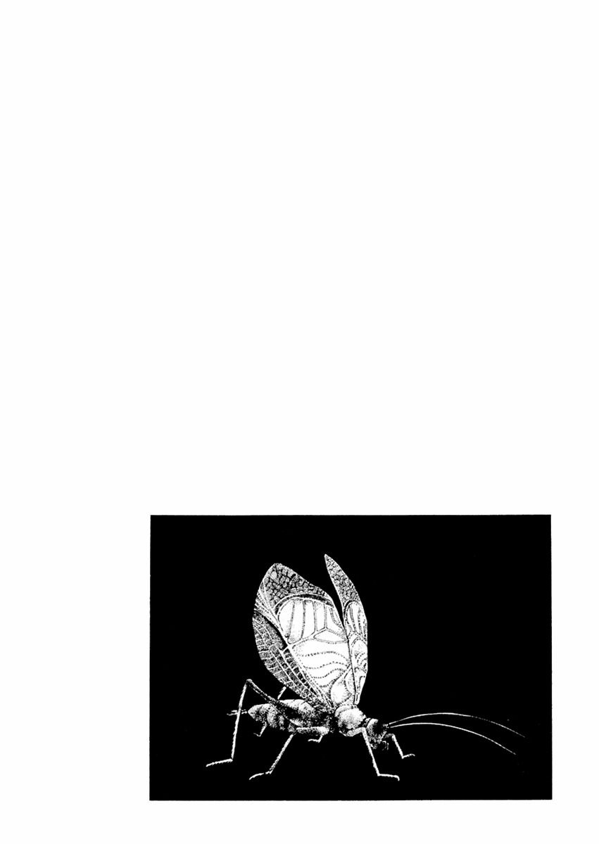 Sabu to Ichi Torimonohikae Chapter 68 page 2 - Chapter 68: Cricket