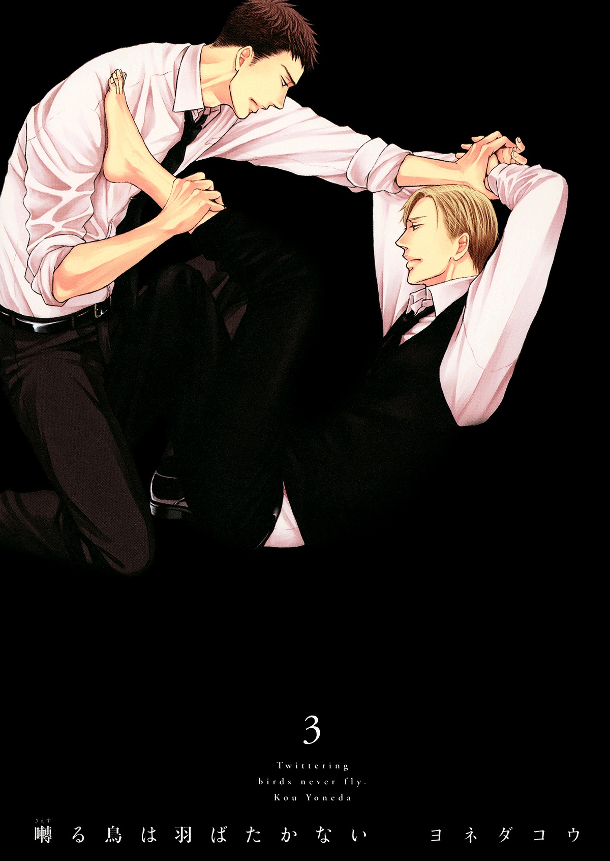Saezuru Tori wa Habatakanai Chapter 16.5 page 1 - Chapter 16.5 : Vol 3 Extra
