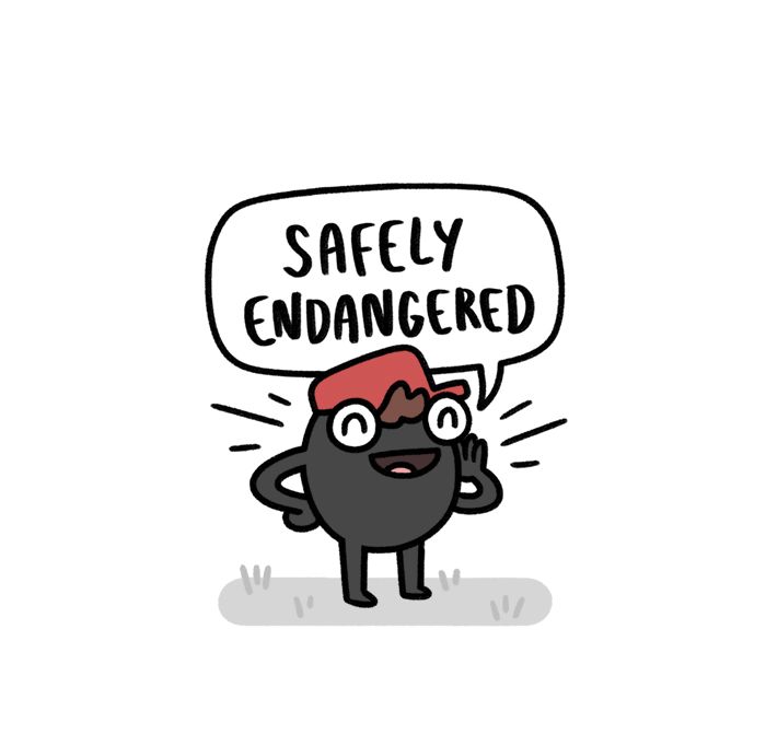 Safely Endangered Chapter 251 page 1 - Chapter 251