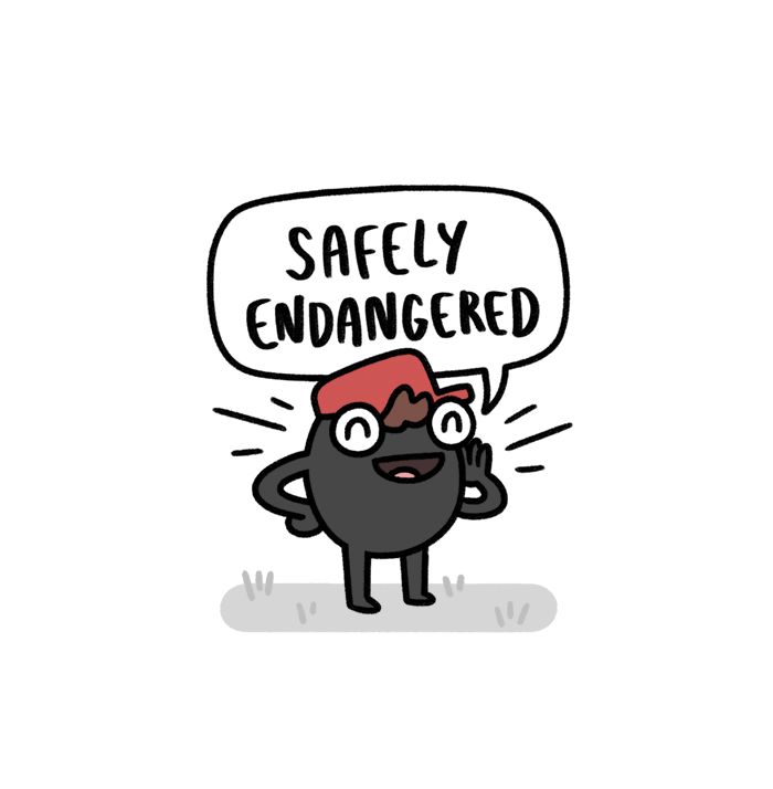 Safely Endangered Chapter 275 page 1 - Chapter 275