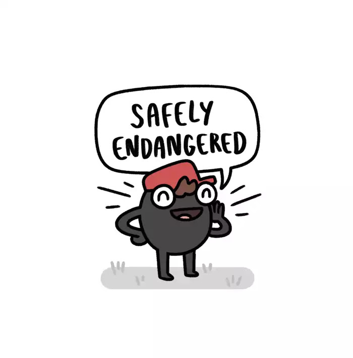 Safely Endangered Chapter 335 page 1 - Chapter 335: Ep.335: Hey! Listen!