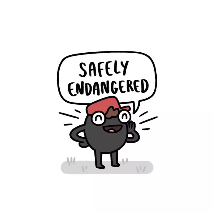 Safely Endangered Chapter 347 page 1 - Chapter 347: Ep.347: Road Signs
