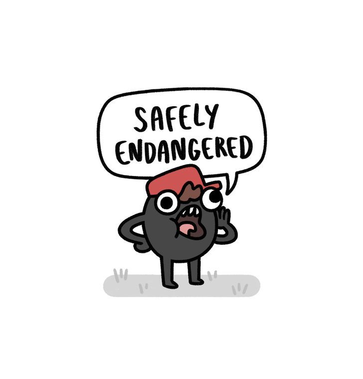 Safely Endangered Chapter 53 page 1 - Chapter 53 : Facebook Emergency