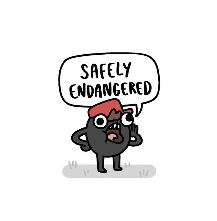 Safely Endangered Chapter 54 page 1 - Chapter 54 : Roomates