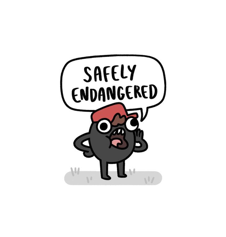 Safely Endangered Chapter 57 page 1 - Chapter 57 : Holiday Romance