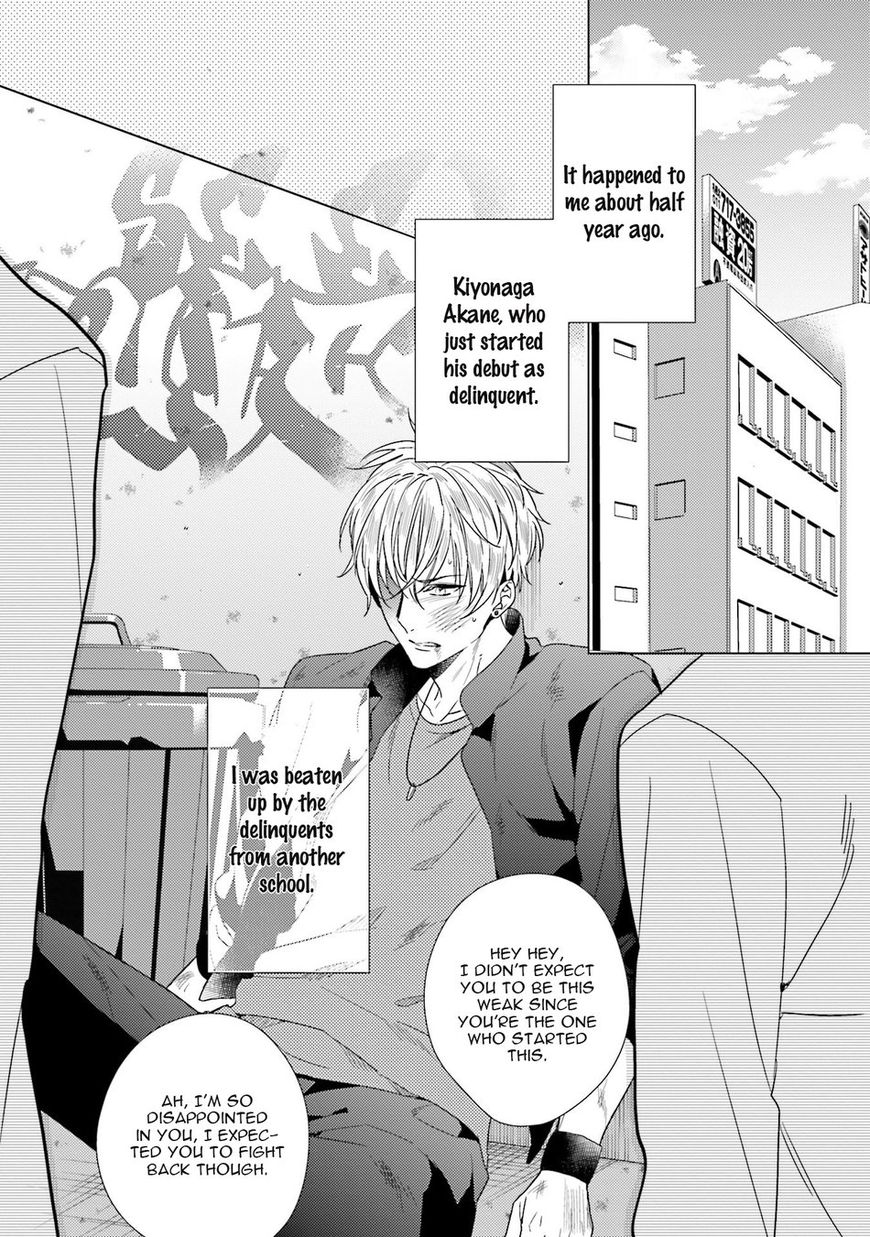 Sai Kyou Yankee to Makeinu na Ore Chapter 1 page 5 - Chapter 1