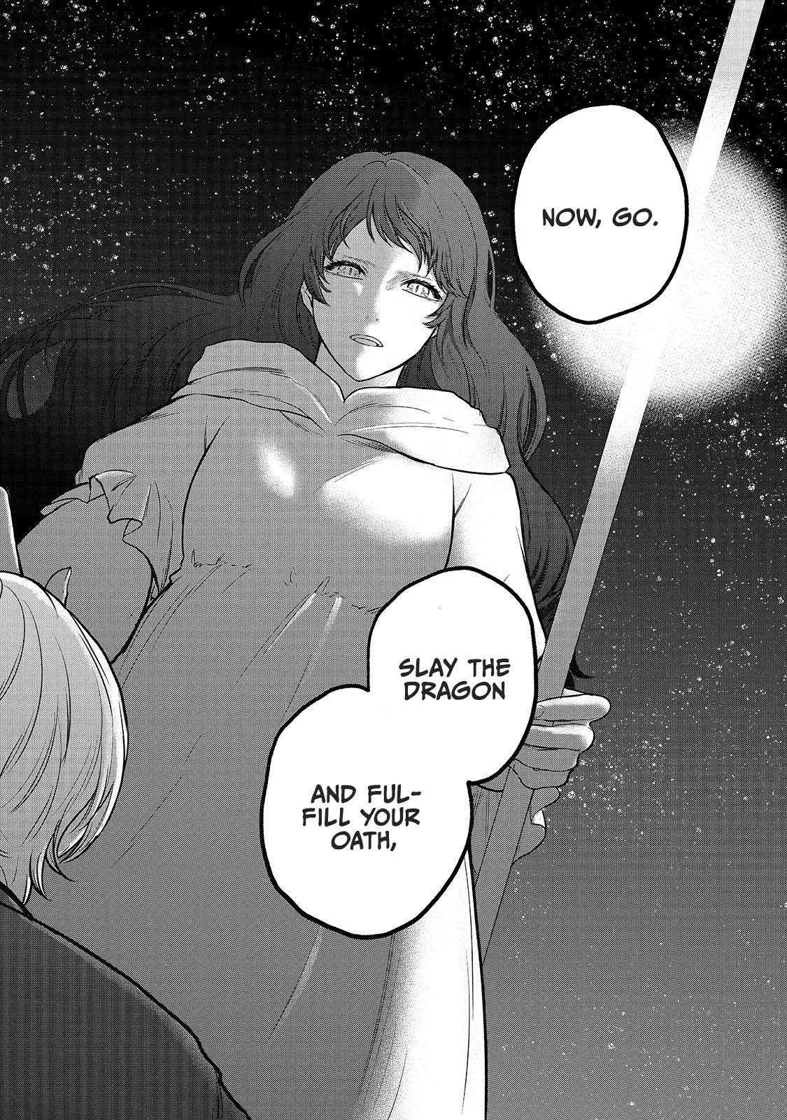 Saihate no Paladin Chapter 39 page 25 - Chapter 39