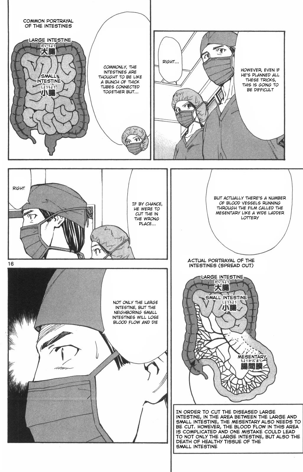 Saijou no Meii Chapter 73 page 16 - Chapter 73: Ayame's True Abilities