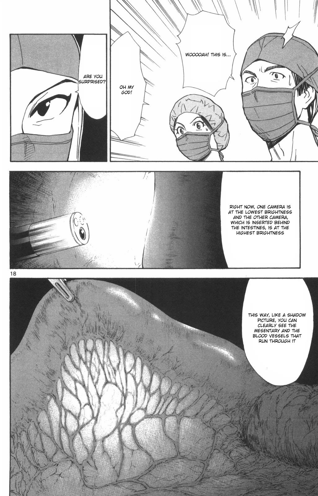 Saijou no Meii Chapter 73 page 18 - Chapter 73: Ayame's True Abilities