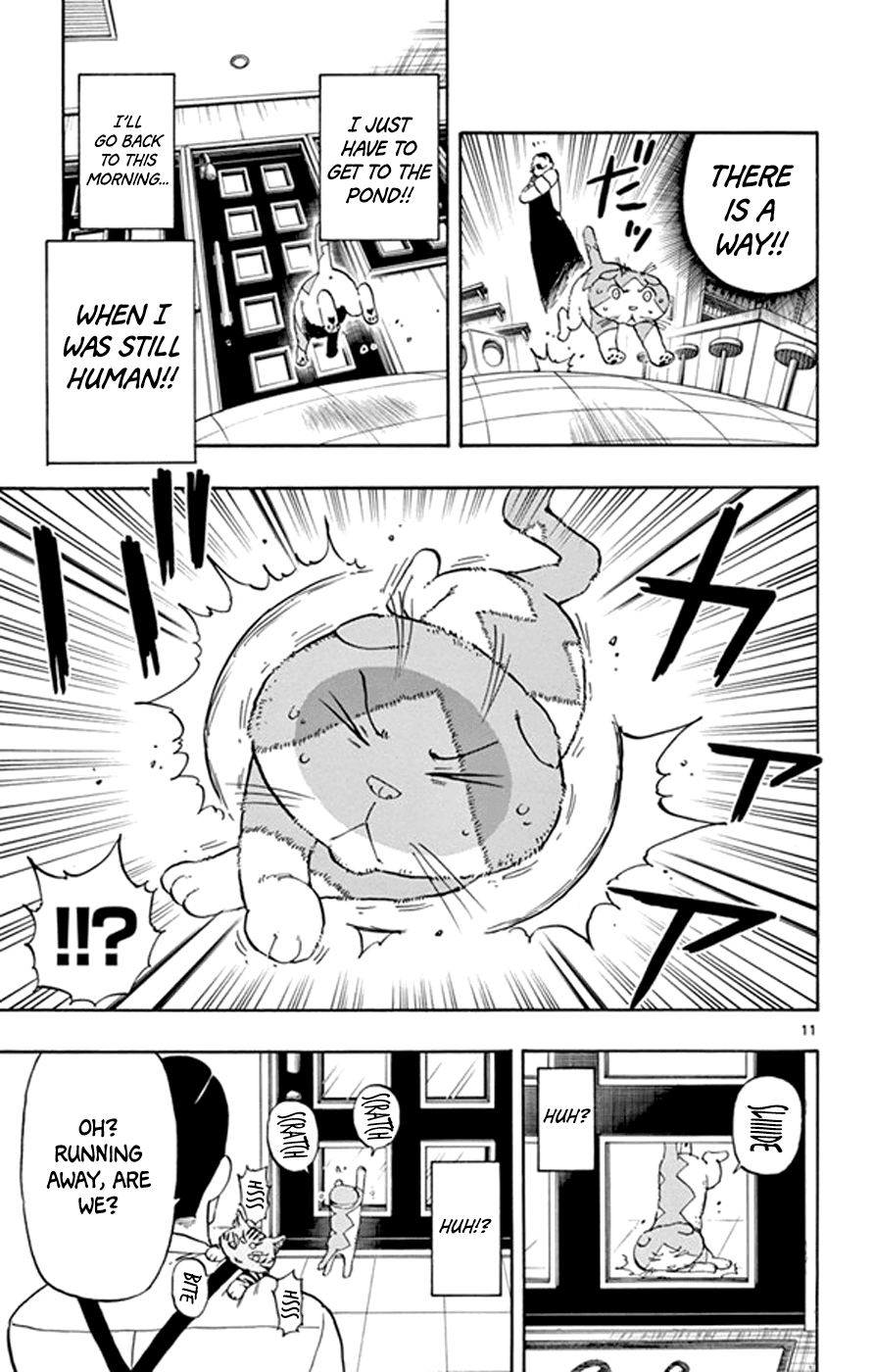 Saike Mata Shite mo Chapter 17 page 11 - Chapter 17 : Take 17: Cat Country 2