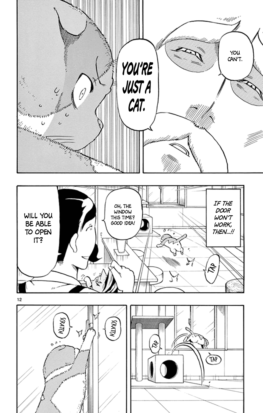 Saike Mata Shite mo Chapter 17 page 12 - Chapter 17 : Take 17: Cat Country 2
