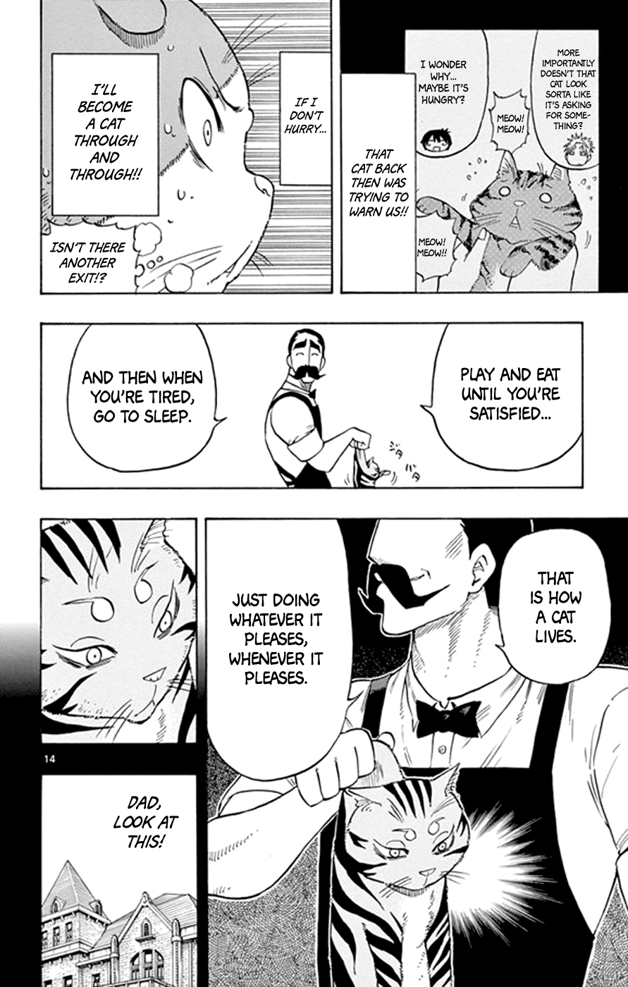 Saike Mata Shite mo Chapter 17 page 14 - Chapter 17 : Take 17: Cat Country 2