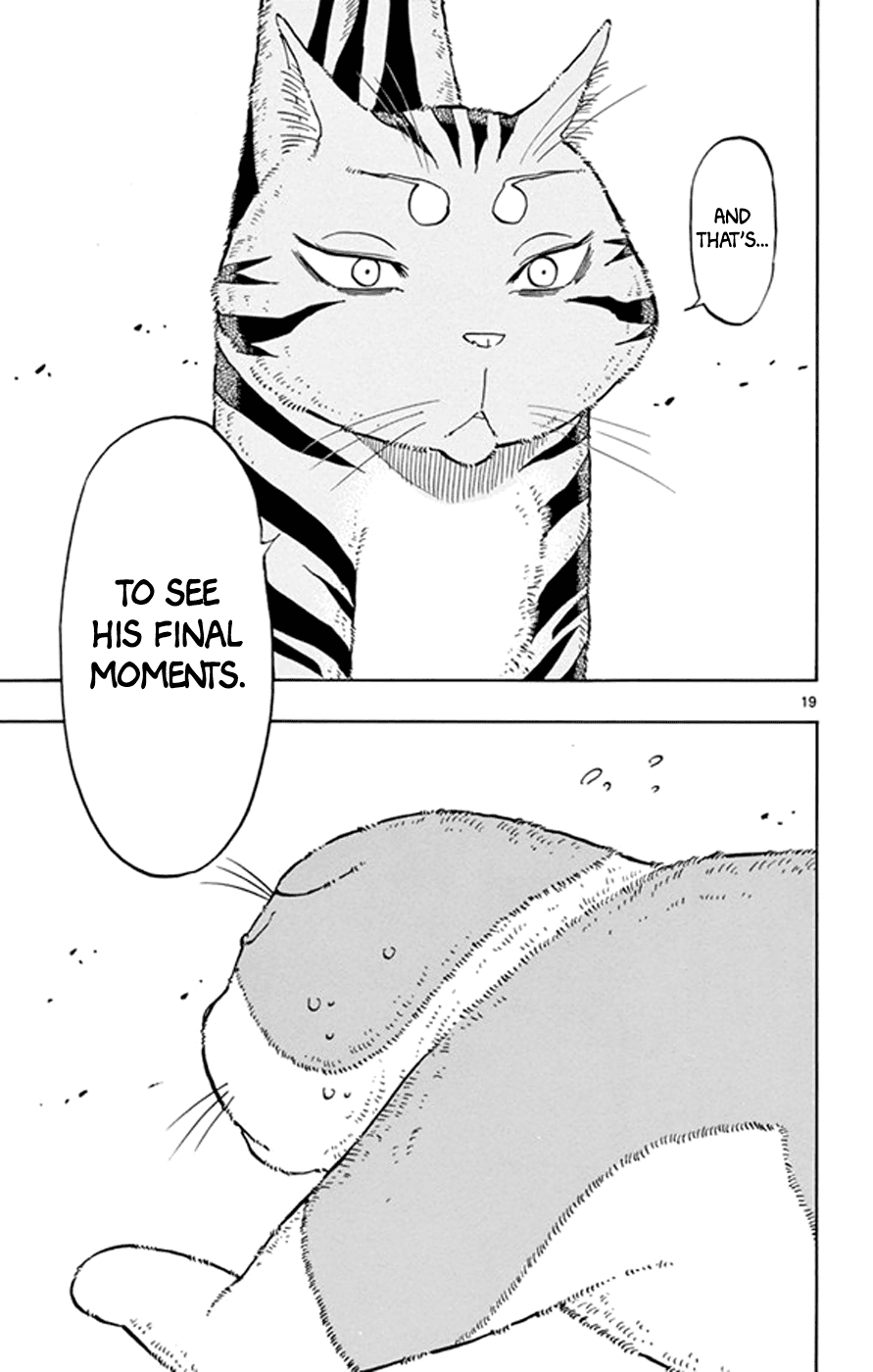 Saike Mata Shite mo Chapter 17 page 19 - Chapter 17 : Take 17: Cat Country 2