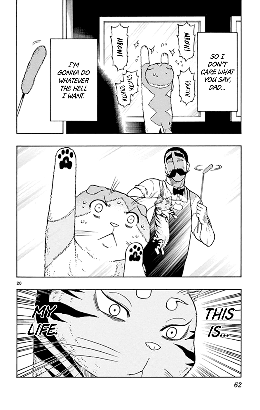 Saike Mata Shite mo Chapter 17 page 20 - Chapter 17 : Take 17: Cat Country 2