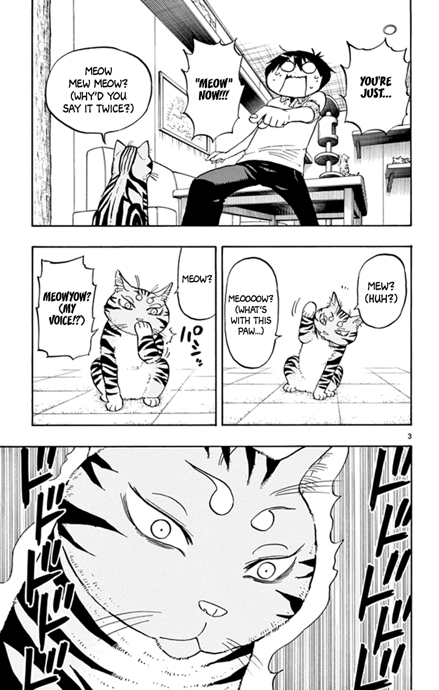 Saike Mata Shite mo Chapter 17 page 3 - Chapter 17 : Take 17: Cat Country 2