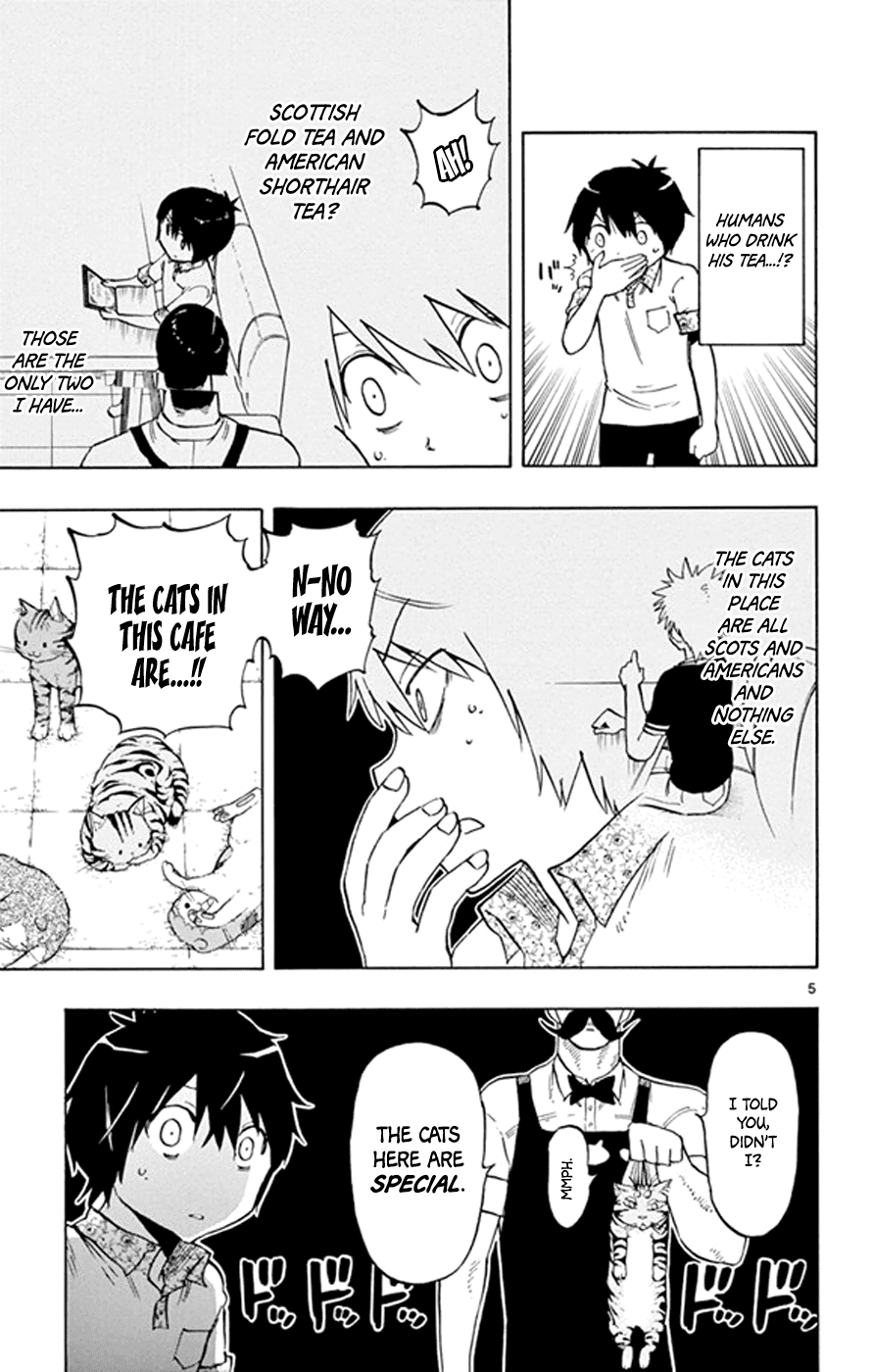 Saike Mata Shite mo Chapter 17 page 5 - Chapter 17 : Take 17: Cat Country 2