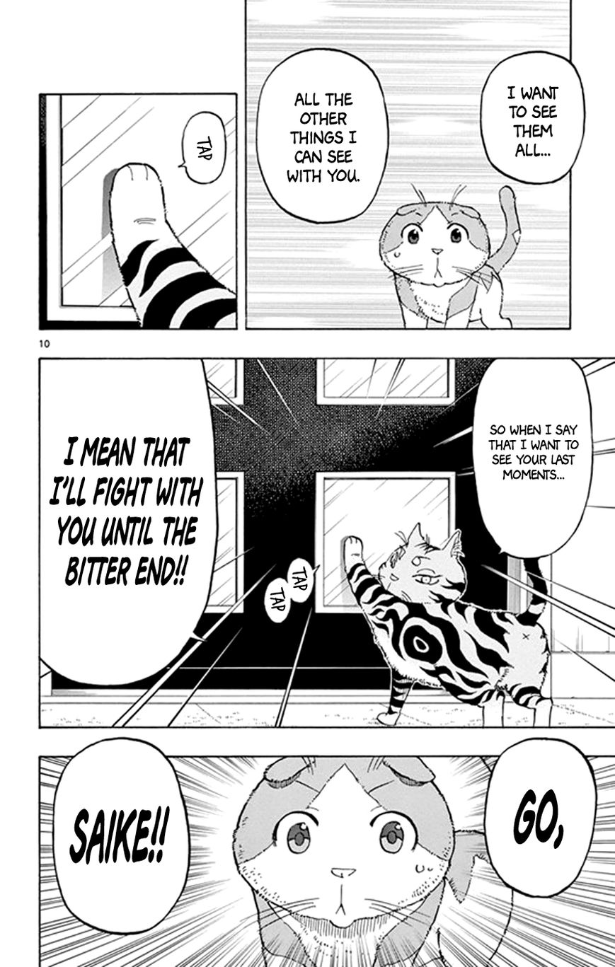 Saike Mata Shite mo Chapter 18 page 10 - Chapter 18 : Take 18: Cat Country 3