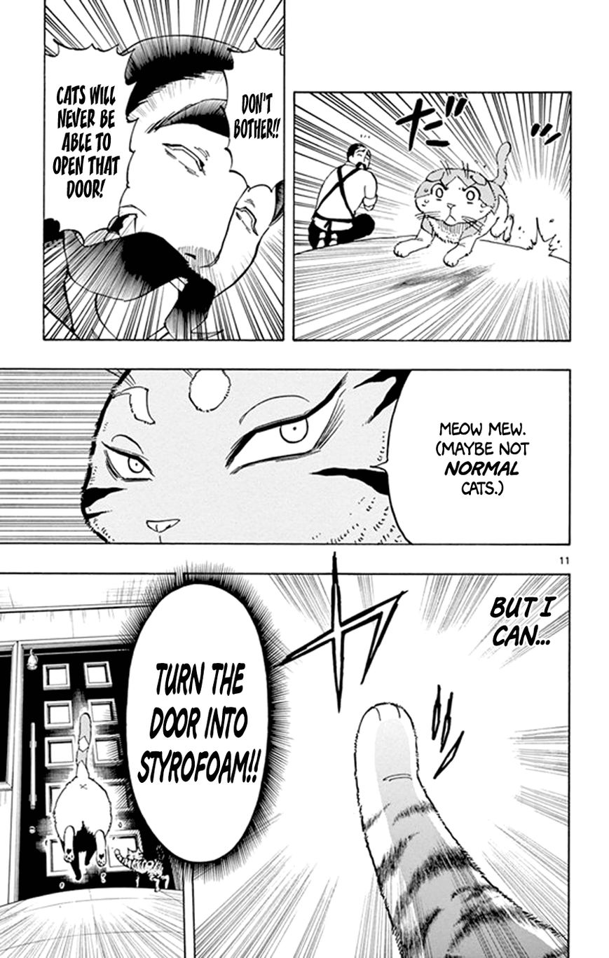 Saike Mata Shite mo Chapter 18 page 11 - Chapter 18 : Take 18: Cat Country 3