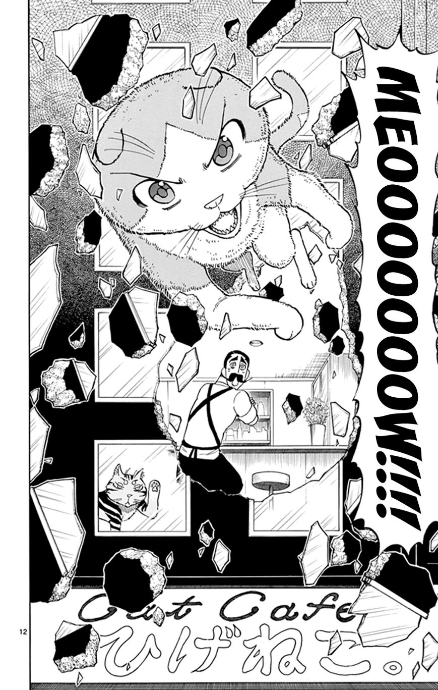 Saike Mata Shite mo Chapter 18 page 12 - Chapter 18 : Take 18: Cat Country 3