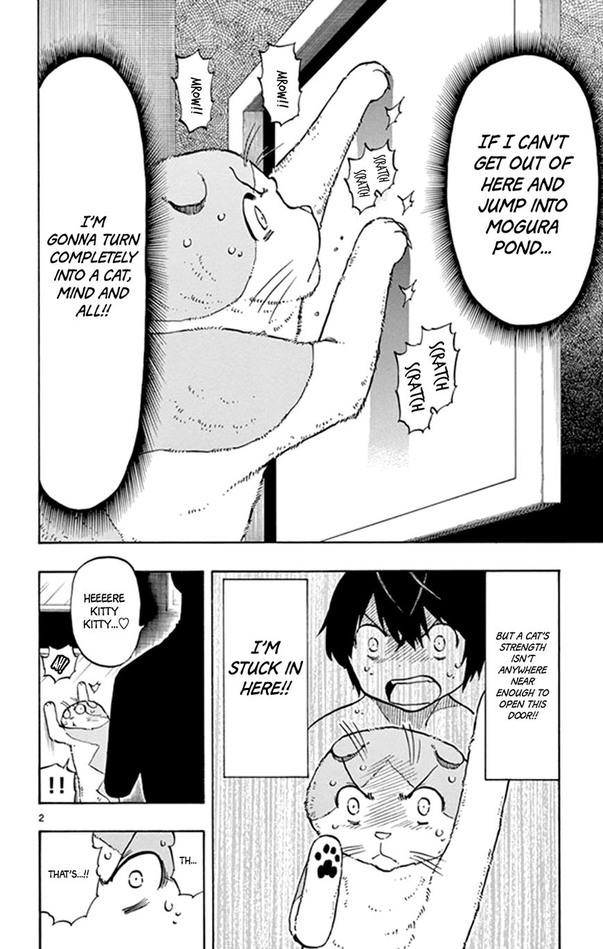 Saike Mata Shite mo Chapter 18 page 2 - Chapter 18 : Take 18: Cat Country 3