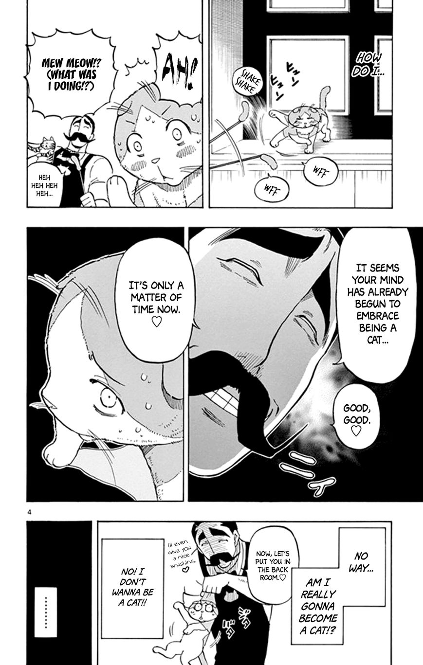 Saike Mata Shite mo Chapter 18 page 4 - Chapter 18 : Take 18: Cat Country 3