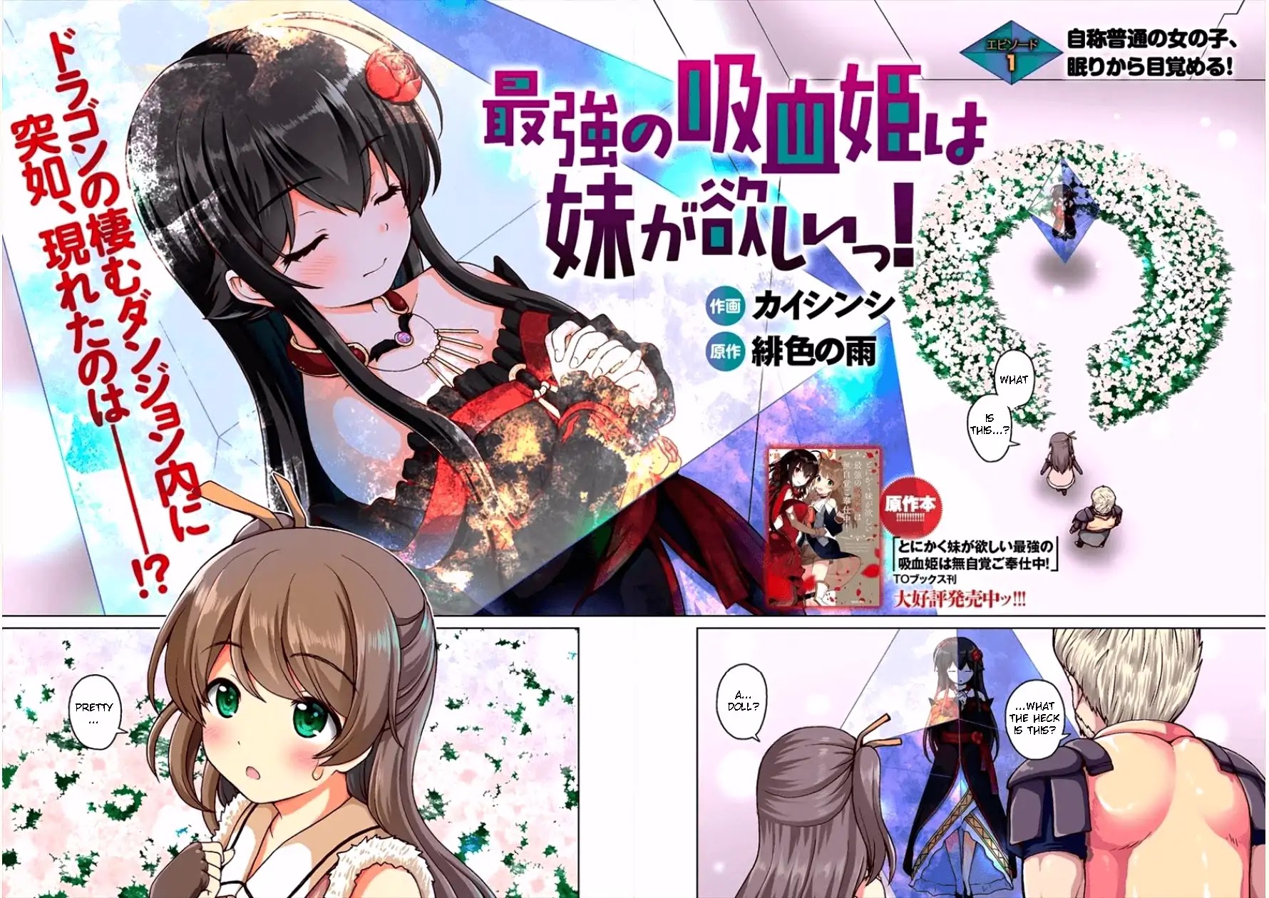 Saikyou no Kyuuketsuhime wa Imouto ga Hoshii!! Chapter 1 page 4 - Chapter 1