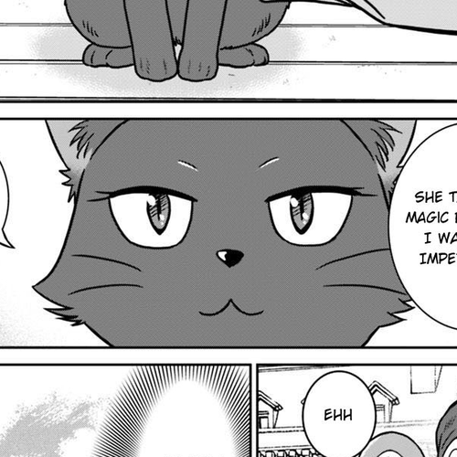 Saikyou no Shuzoku ga Ningen Datta Ken Chapter 36 cover