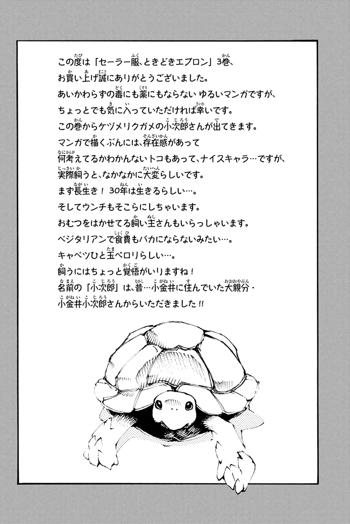 Sailor Fuku, Tokidoki Apron Chapter 33 page 24 - Chapter 33: Honoka gets Buried in Sand