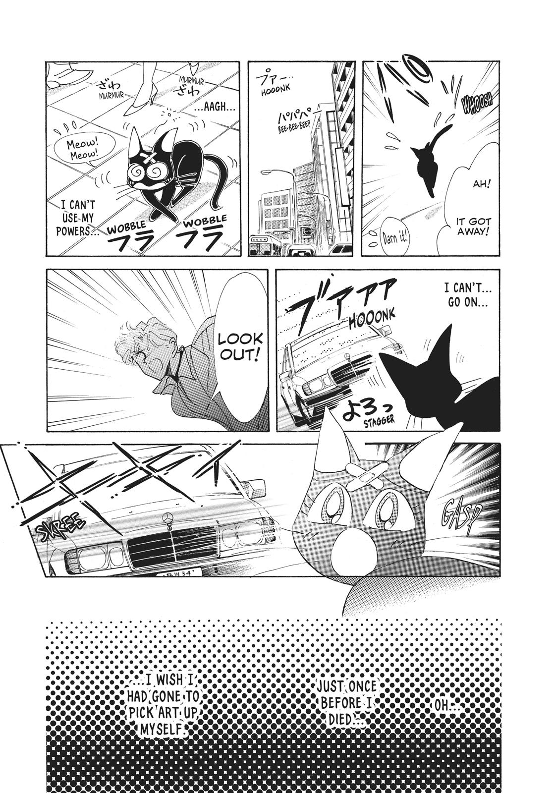 Sailor Moon Chapter 38.6 page 11 - Chapter 38.6