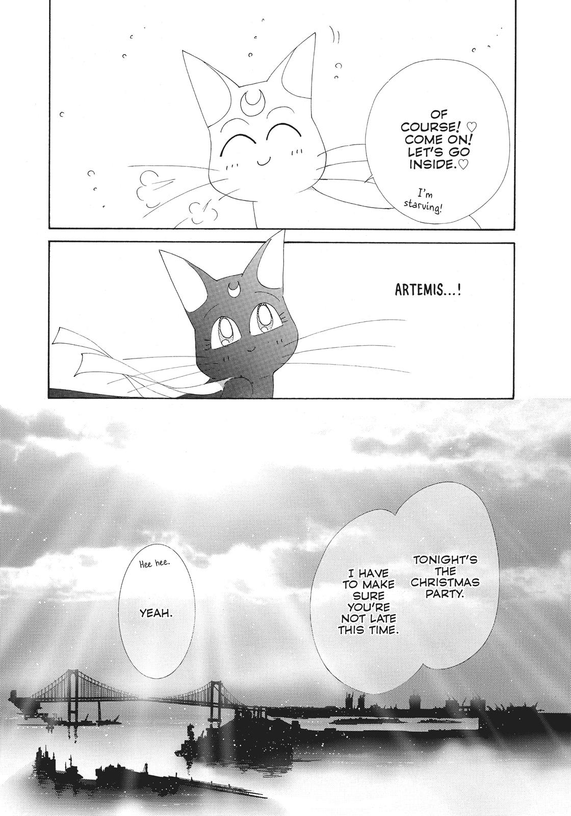 Sailor Moon Chapter 38.6 page 135 - Chapter 38.6