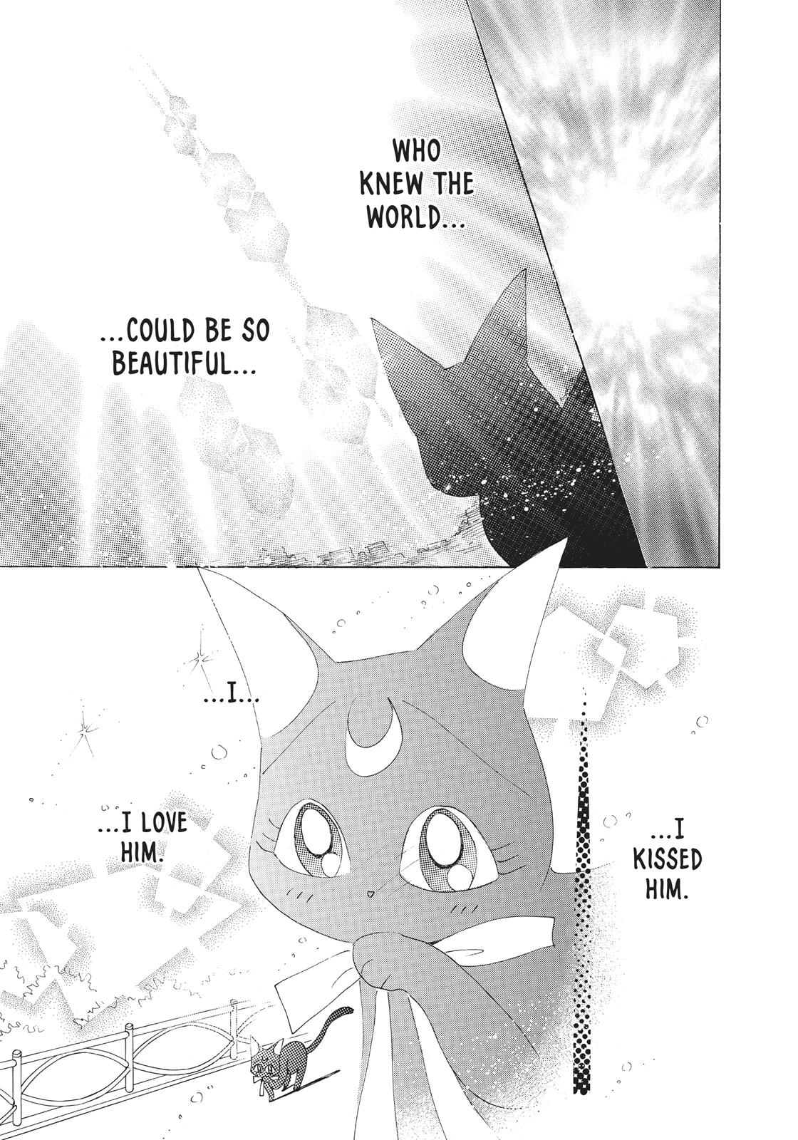 Sailor Moon Chapter 38.6 page 45 - Chapter 38.6