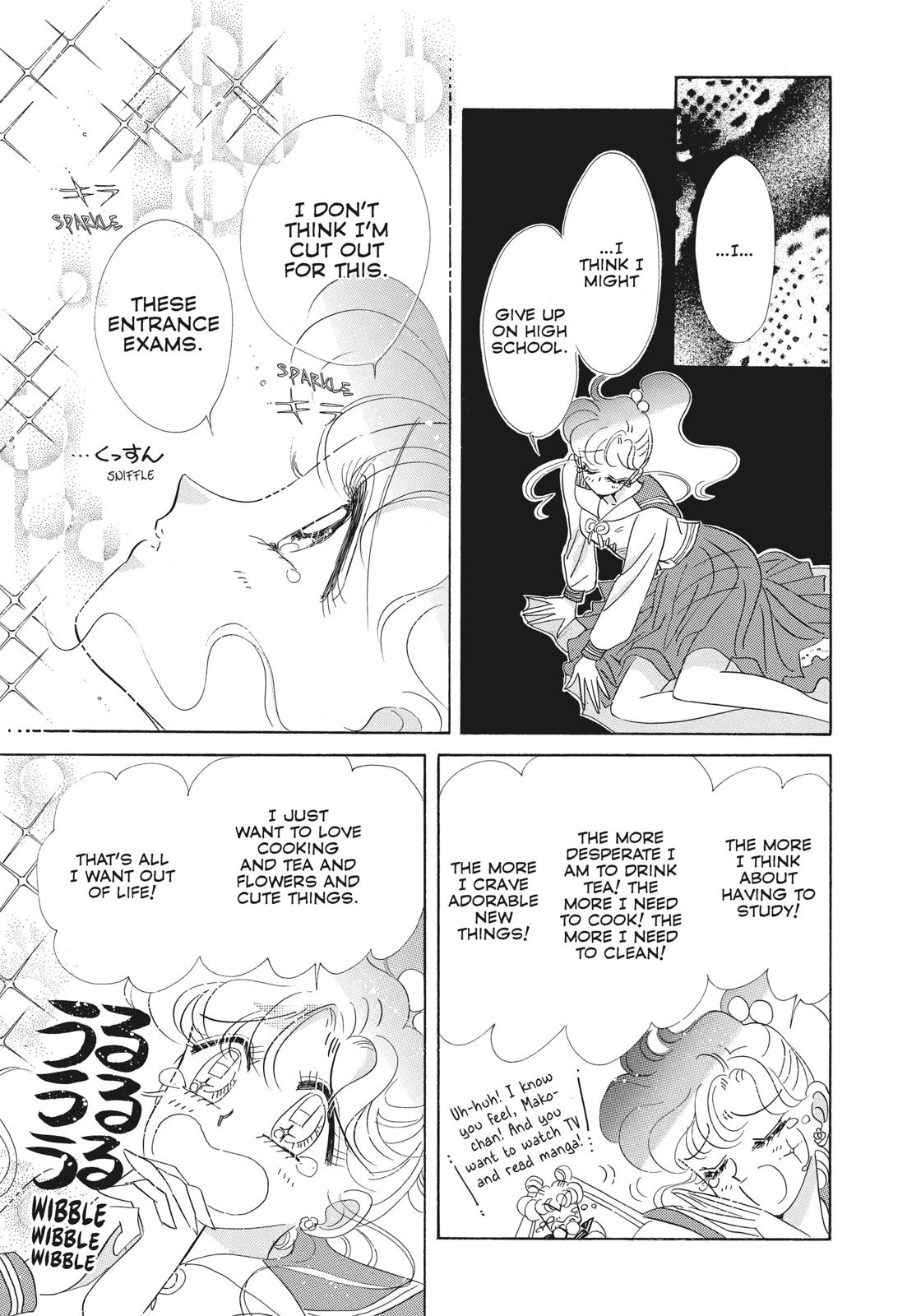 Sailor Moon Chapter 49.6 page 17 - Chapter 49.6