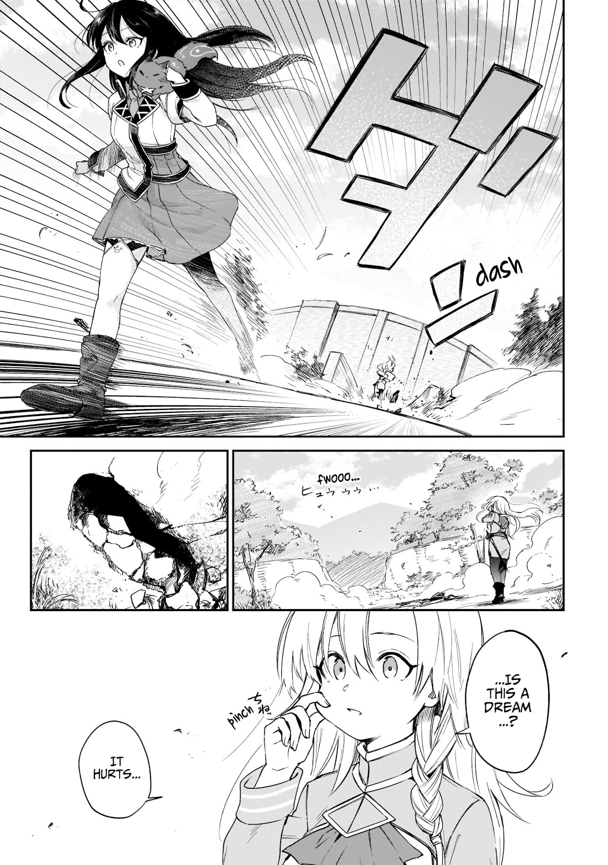 Saint? No, Just a Passing Monster Tamer! ~The Completely Unparalleled Saint Travels with Fluffies~ Chapter 3 page 18 - Chapter 3: Dragon extermination? No, simply herb harvesting!