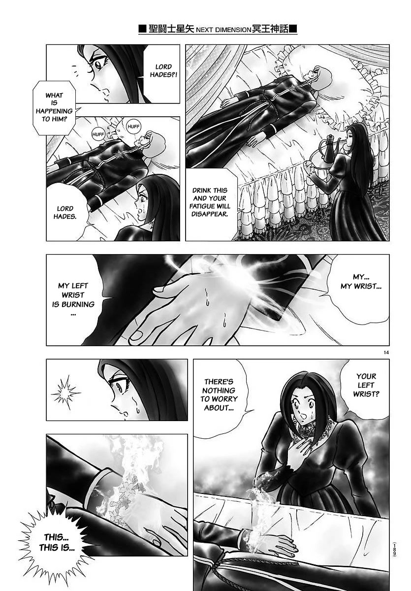 Saint Seiya - Next Dimension Chapter 105 page 14 - Chapter 105: Flowers ties