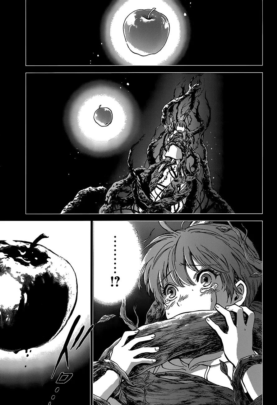 Saint Seiya - Saintia Shou Chapter 1 page 9 - Chapter 1: Shoko & Kyoko